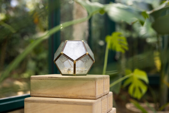 At Glass House Studio, glass terrarium resting on wooden boxes