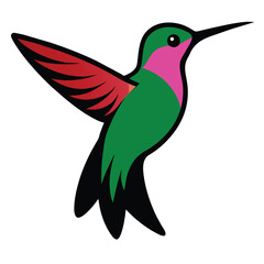 Solid color Costa’s Hummingbird animal vector design