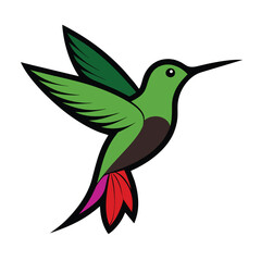 Solid color Costa’s Hummingbird animal vector design