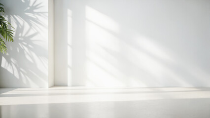 Fototapeta premium blurred foliage shadow on white wall. Beautiful background