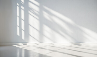 Minimalistic light background with shadow on white wall