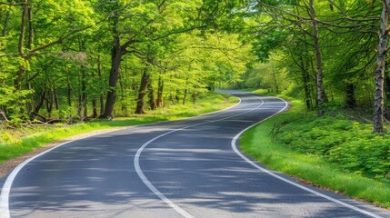 Fototapeta premium A curved road surrounded by a forest, lined with trees on either side, and flanked by verdant grass