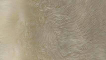 background detail of white fluffy wool texture