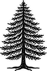 Fototapeta premium Eastern Hemlock Tree icon 3