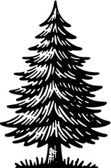 Obraz premium Douglas Fir Tree icon 13