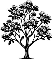 Crape Myrtle Tree icon 11