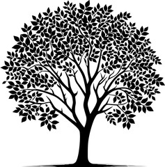 Obraz premium Chinaberry Tree icon 12