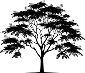 Chinaberry Tree icon 7