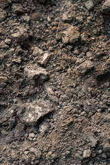 Obraz premium Abstract Neutral Soil Texture Background