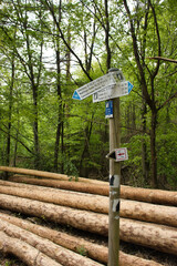Hiking sign next to pile of wood on a trail in the Palatinate Forest of Germany on a spring day.