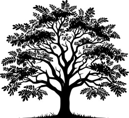 Carob Tree icon 2