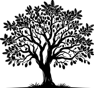 Carob Tree icon 3