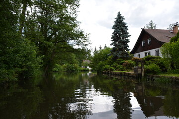 Fototapeta premium Exploring Lubbenau/Spreewald