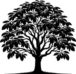 Obraz premium Black Walnut Tree icon 4