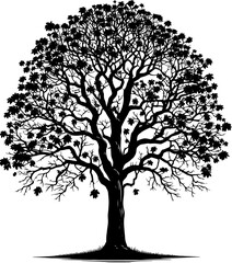 Black Walnut Tree icon 1
