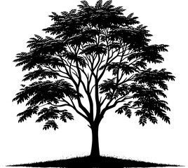 Black Walnut Tree icon 3