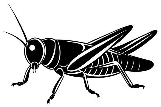 black grasshopper graphic clip art preview
