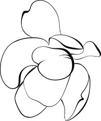 Vector romantic Magnolia flower. Blooming graphics flora. Paris springtime. Hand drawn line. Black circuit silhouette