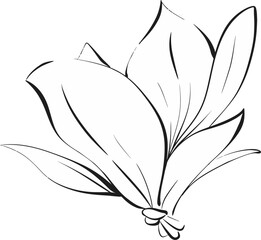 Vector flower, magnolia in graphics style. Paris springtime, romantic line. Botanical illustration, flora. Black circuit silhouette
