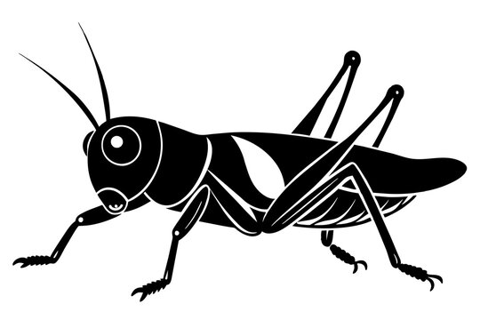 black grasshopper insect silhouette on white clip art preview