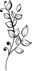 Vector doodle brunch with leaves. Hand drawn line for floral ornaments, frames, designes. Black silhouette for circuit