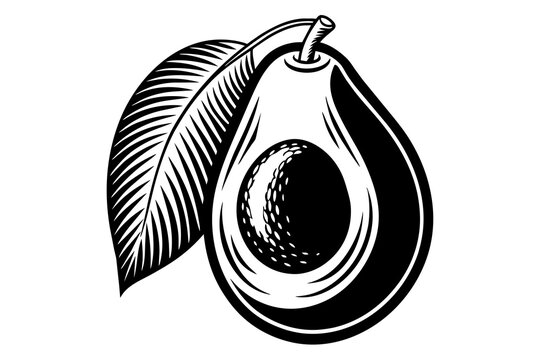 recommend clip art: avocado fruit silhouette vector illustration