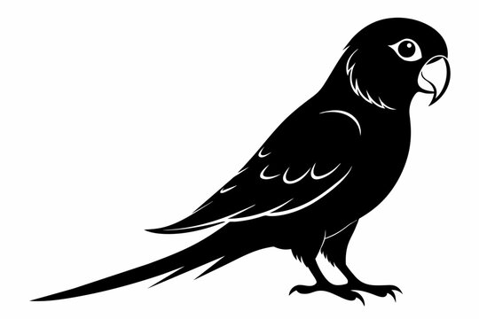 recommend clip art: parakeet bird silhouette vector illustration