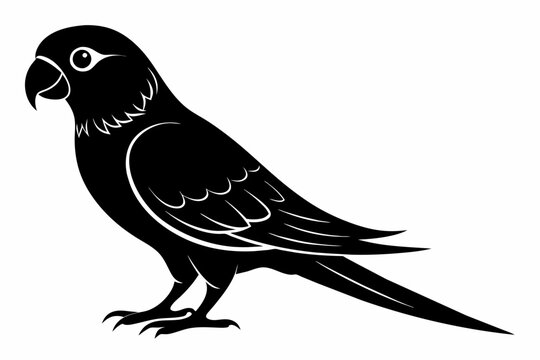 recommend clip art: parakeet bird silhouette vector illustration