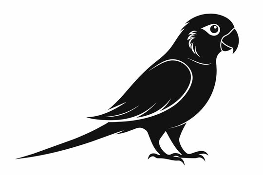 recommend clip art: parakeet bird silhouette vector illustration