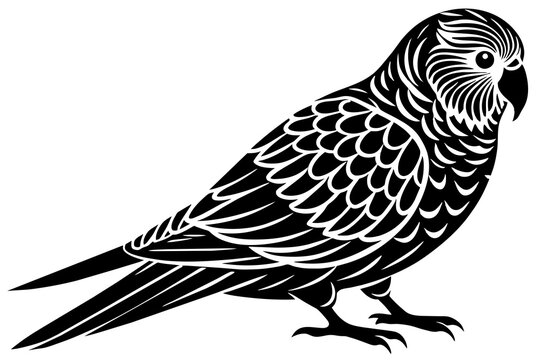 recommend clip art: parakeet bird silhouette vector illustration