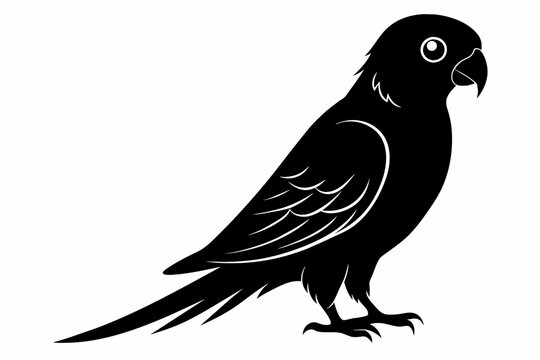 recommend clip art: parakeet bird silhouette vector illustration