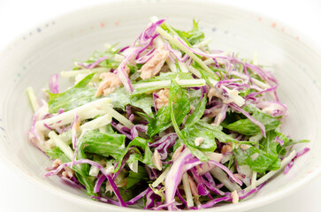 ムラサキキャベツと水菜のサラダ
