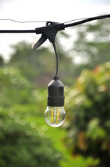 Light Bulb on Green Background