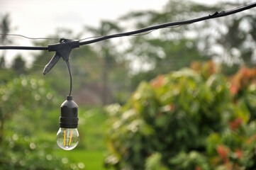Light Bulb on Green Background