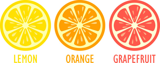 Lemon orange and grapefruit slice vector icon