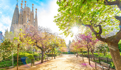 Blooming spring park in Barcelona city, Spain