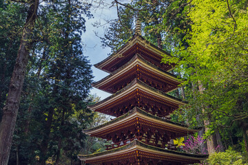 奈良 室生寺 新緑に包まれた五重塔