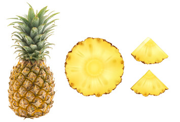 Vector Pineapple Slices and gold pineapple