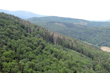 Fototapeta premium A view of a forest, mountains and the Jelenia Góra valley, Poland