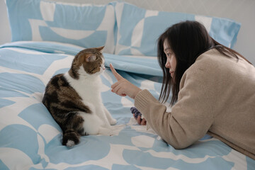 pet care concept with asian woman play with scottish tabby cat on bed with happy feeling