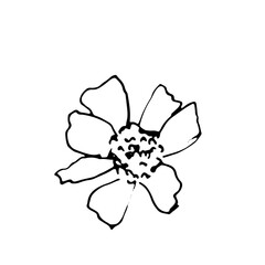 Abstract Doodle Line Art Floral Botanical 