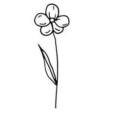 Abstract Floral Botanical Line Art Hand Drawn