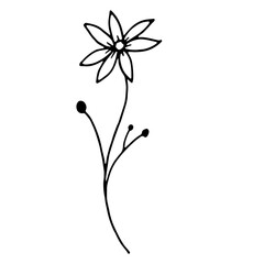 Abstract Floral Botanical Line Art Hand Drawn