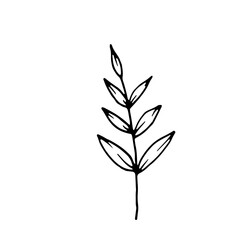 Abstract Floral Botanical Line Art Hand Drawn