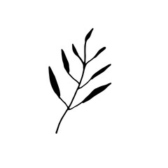 Abstract Floral Botanical Line Art Hand Drawn