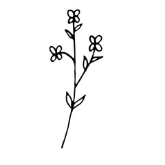 Abstract Floral Botanical Line Art Hand Drawn