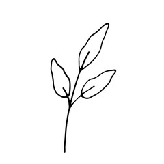 Fototapeta premium Abstract Floral Botanical Line Art Hand Drawn