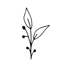 Abstract Floral Botanical Line Art Hand Drawn