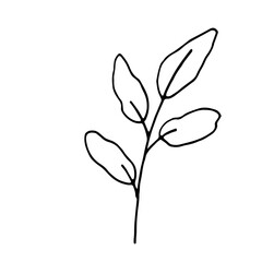 Abstract Floral Botanical Line Art Hand Drawn