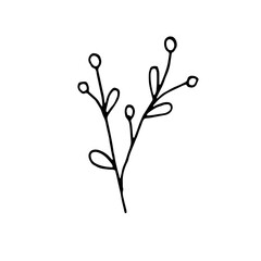 Abstract Floral Botanical Line Art Hand Drawn